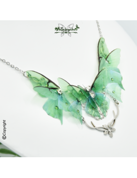 Papillon Actias Luna