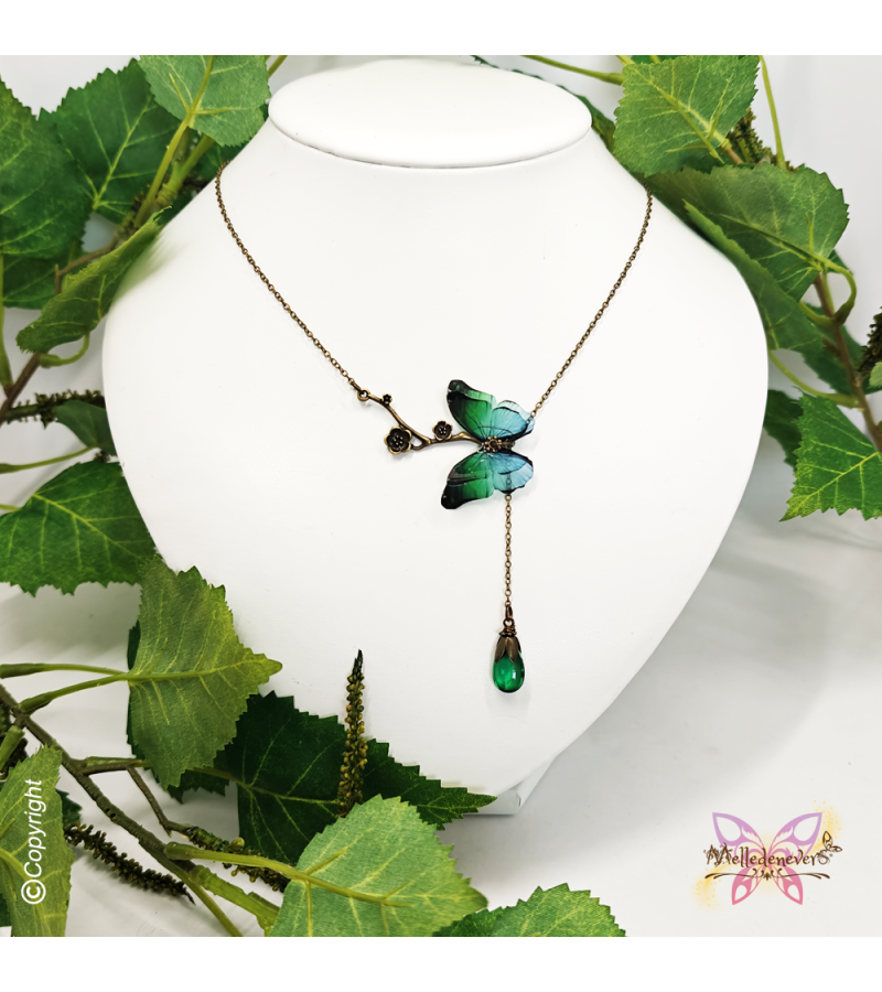 Papillon Rêveur des Forêts