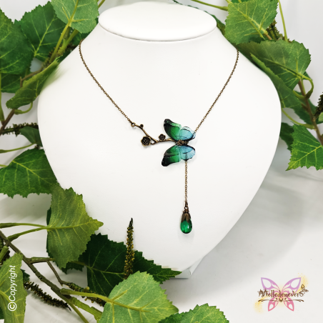 Papillon Rêveur des Forêts