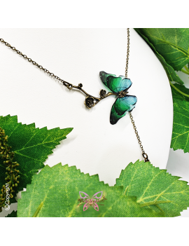 Papillon Rêveur des Forêts