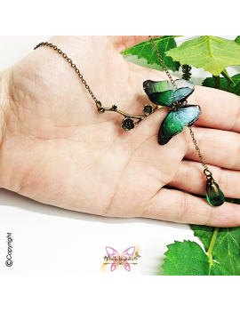 Papillon Rêveur des Forêts