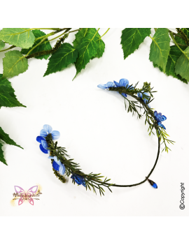 Maculinea Hortensia bleu