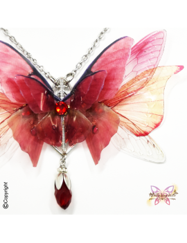 Sylphe Rubis des Brumes