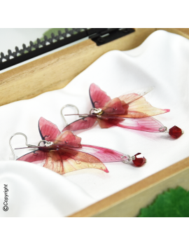 Sylphe Rubis des Brumes