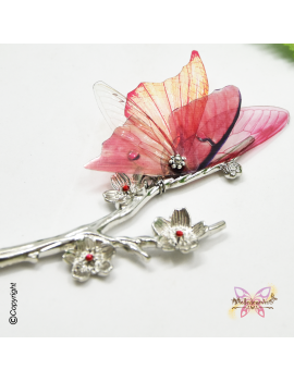 Sylphe Rubis des Brumes