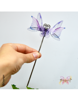 Sylphe Améthyste Nocturne