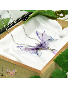 Sylphe Améthyste Nocturne