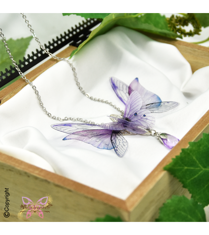 Sylphe Améthyste Nocturne