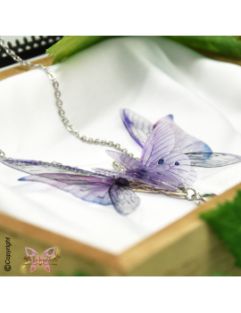 Sylphe Améthyste Nocturne