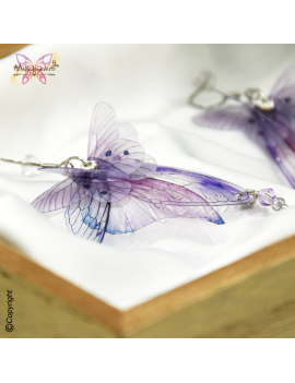 Sylphe Améthyste Nocturne