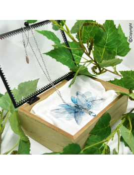 Sylphe Azur Céleste