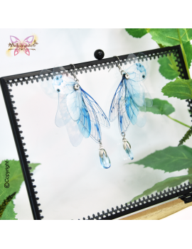 Sylphe Azur Céleste