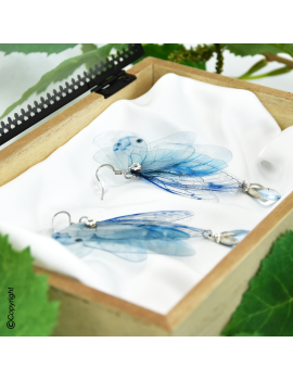 Sylphe Azur Céleste