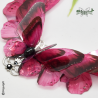 Papillon Fuschia