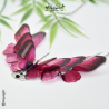 Papillon Fuschia