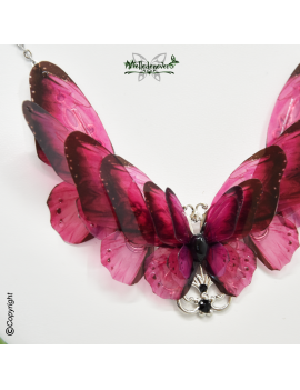 Papillon Fuschia